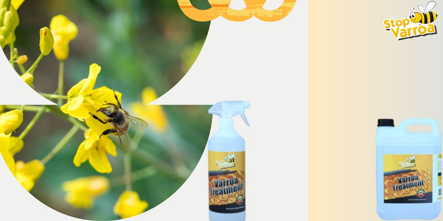 Predvidite prisutnost varoe i učinkovito zaštitite naše pčele