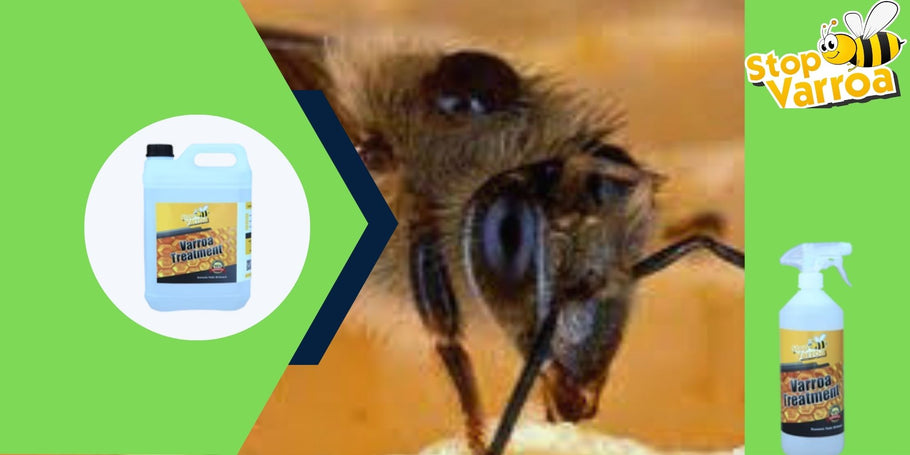 Anti-Varroa revolucija: Rješenje koje će spasiti vaše pčele